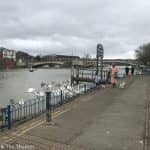 Tilehurst to Caversham Bridge, Reading 