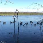 Godstow to Oxford 