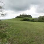 Wittenham Clumps