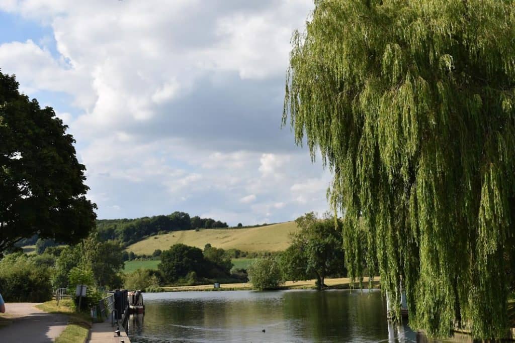 walking the Thames path